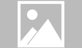 飞蛾扑火的猫漫画,一场扑火与守护的温馨对决