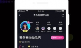 短视频官网,探索新媒体时代的创意盛宴